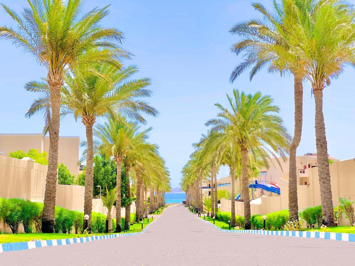 Ivy Cyrene Island Aqua Park Resort (Adults Only) Sharm El Sheikk Exterior foto